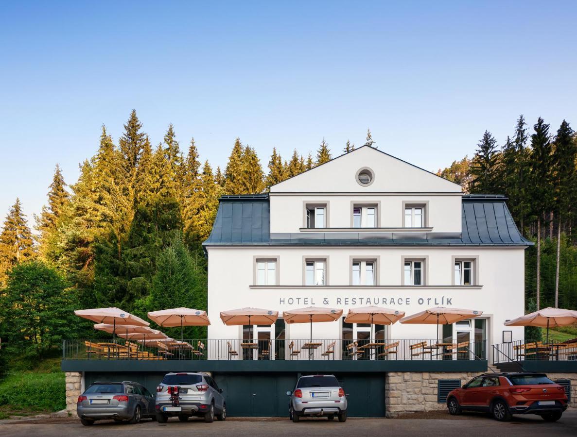 Hotel Orlik Teplice nad Metuji Exterior photo